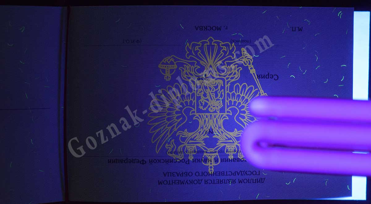 Диплом кандидата наук 2007-2026